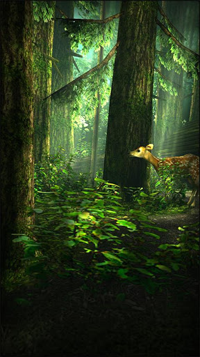 apk小游戏原始森林高清动态壁纸安卓手机壁纸高清截图4