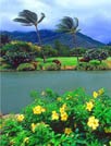 夏威夷的风景壁纸