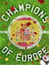 2012欧洲杯动态壁纸