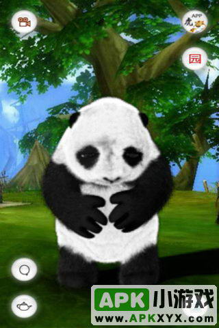会说话的熊猫滚滚:Crouching Panda