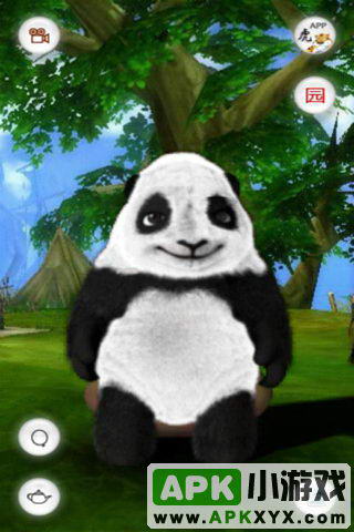 会说话的熊猫滚滚:Crouching Panda