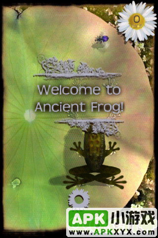青蛙捕虫：Ancient Frog