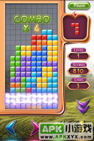 豪华俄罗斯方块:Tetris Deluxe