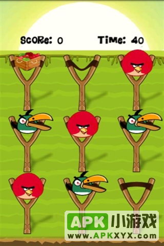 I Hate Angry Birds Too!