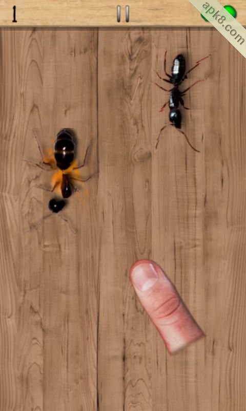 拍蚂蚁汉化版：Ant Smasher