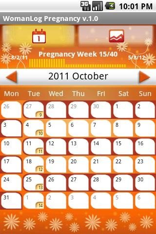 怀孕日历