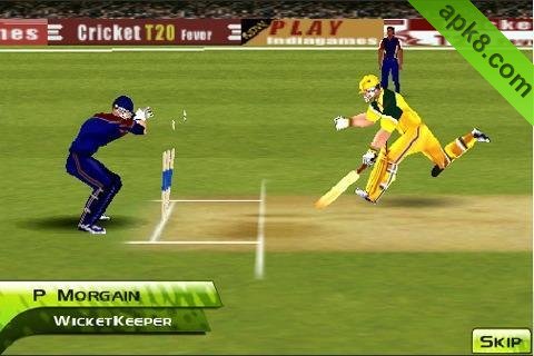 3D热血板球20强:Cricket T20 Fever 3D