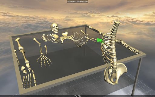 3D骨骼拆解:Body Disassembly 3D