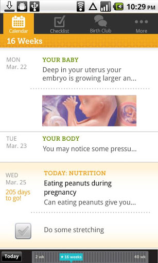 孕期指南