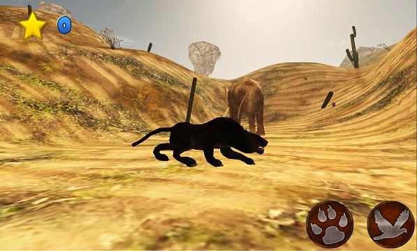 凶猛的黑豹：Black Panther Ferocious