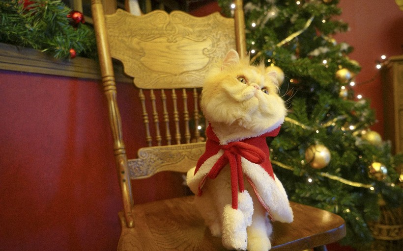 apk小游戏圣诞装扮的可爱猫咪手机壁纸安卓手机壁纸高清截图5