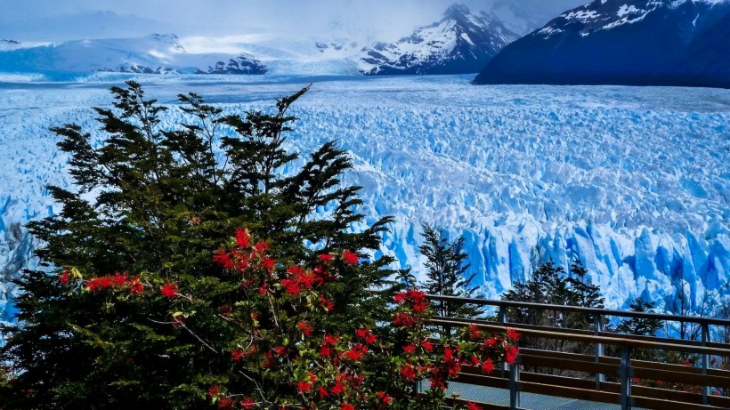 apk小游戏著名的冰川湖阿根廷湖风景手机壁纸安卓手机壁纸高清截图3