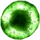 微生物战争:Petri