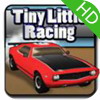 小小的赛车 高清版:Tiny Little Racing