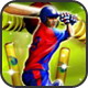 3D热血板球20强:Cricket T20 Fever 3D