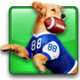 杰里和狗足球:Jerry Rice Dog Football