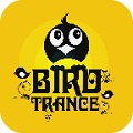 恍惚的小鸟：Bird Trance