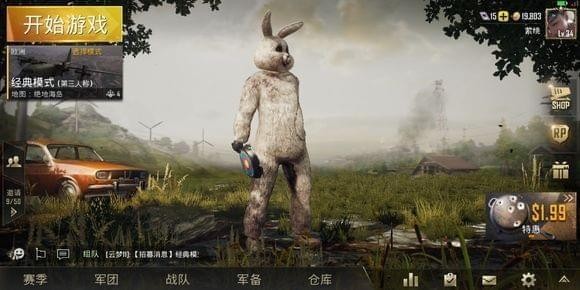 兔子套装