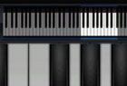 完美钢琴游戏视频:Perfect Piano