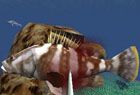 海底狩猎游戏视频:SpearfishingPro